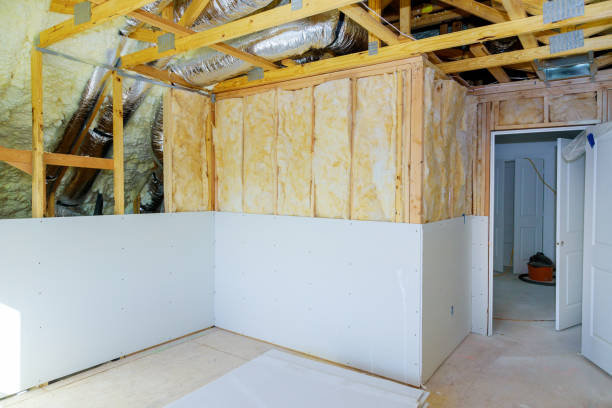 Best Insulation for New Construction  in Clute, TX